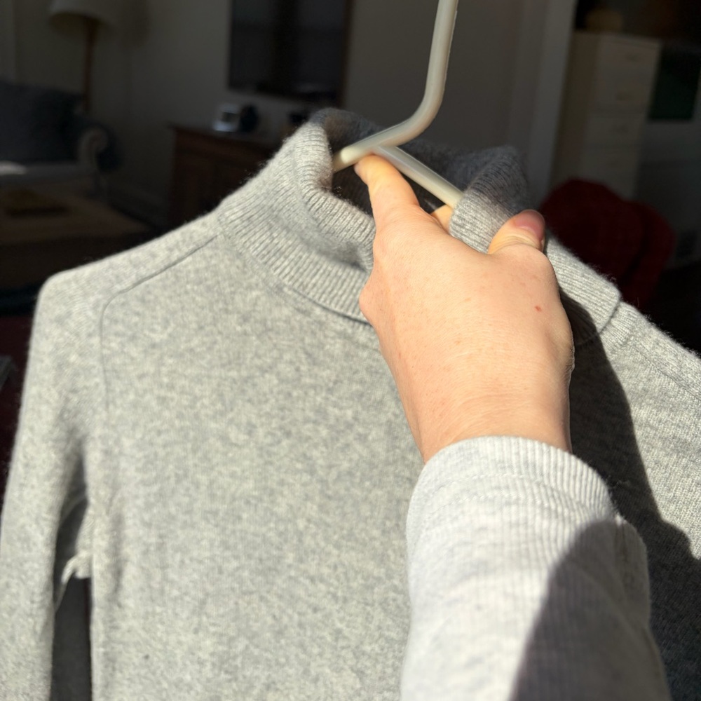 Everlane Cashmere Turtleneck